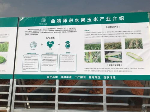 推廣有機(jī)肥改良土壤結(jié)構(gòu)，云南國(guó)發(fā)助力師宗煙草綠色高質(zhì)量發(fā)展